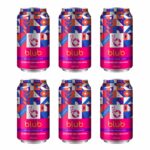 blub frutas vermelhas 350ml (6 latas)